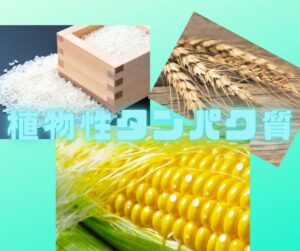 植物性タンパク質の例　米、小麦、とうもろこし