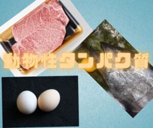 動物性タンパク質の例　肉、卵、魚