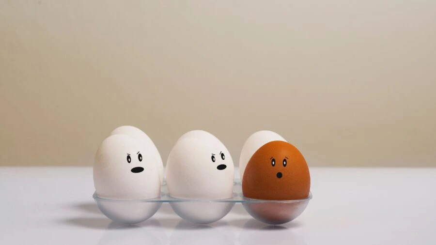 6つの卵の中で1つだけ色が違う卵